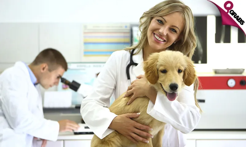 Veterinary Support Assistant Online Course!